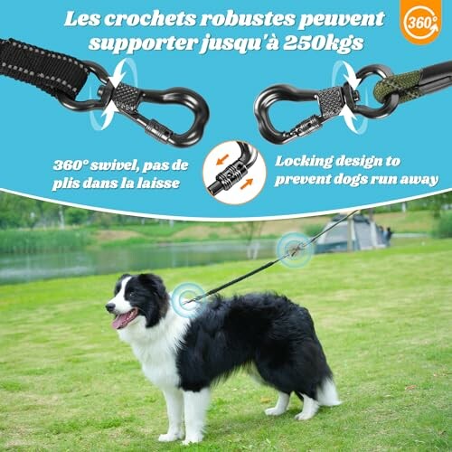 Chien en laisse avec crochets robustes et pivot 360 degrés.