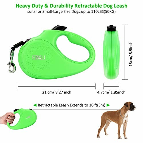 Laisse rétractable verte pour chien avec mesure