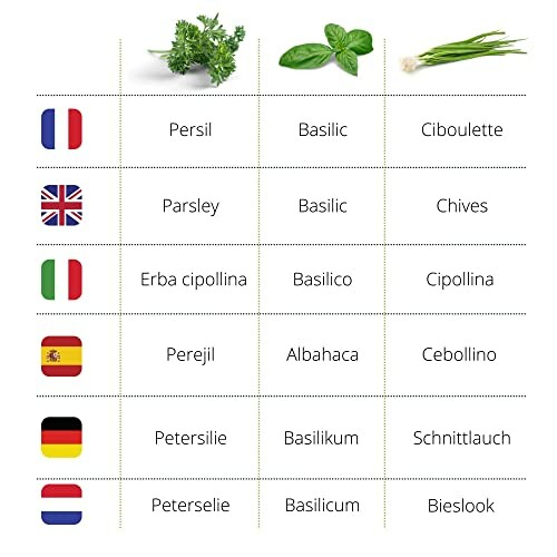 Tableau des noms d'herbes en plusieurs langues avec drapeaux.