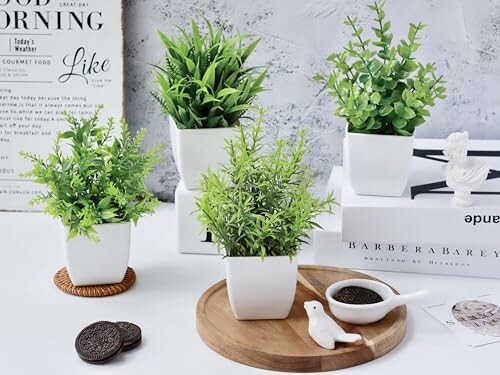 Plantes d'intérieur avec biscuits sur une table.