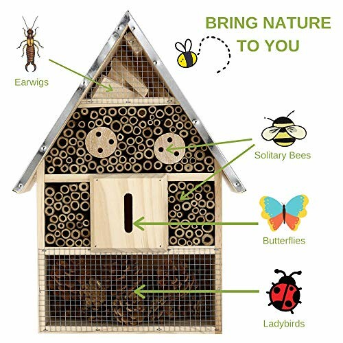 Hôtel à insectes avec sections pour perce-oreilles, abeilles solitaires, papillons, et coccinelles.