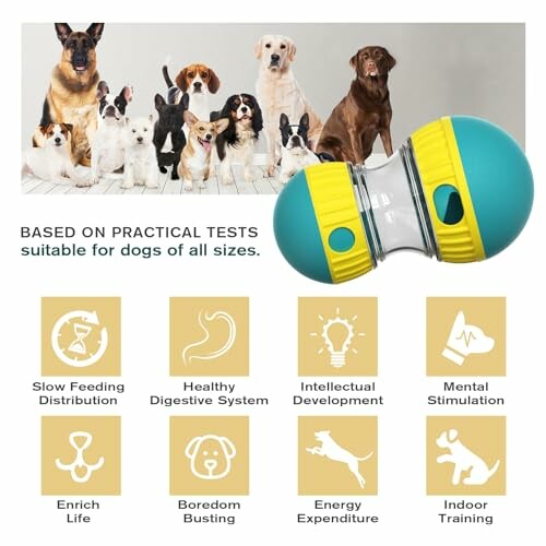 FOSTBEEN Jouet Interactif pour Chien