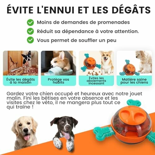 Jouet interactif pour chien avec avantages listés.