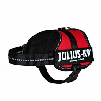 Harnais pour chien Julius-K9 rouge et noir