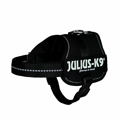 Harnais pour chien Julius-K9 noir