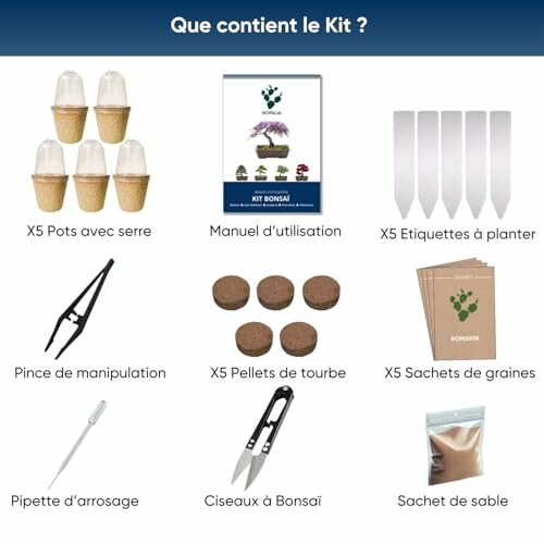 Image du contenu d'un kit de bonsaï avec divers outils et accessoires.