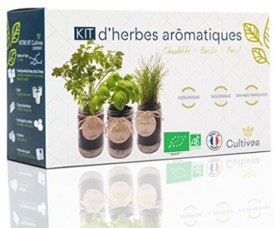 Kit de culture d'herbes aromatiques avec ciboulette, basilic et persil.