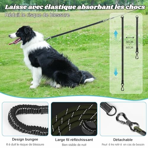 Aystkniet Longe pour Chien