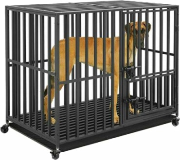 Grand chien dans une cage métallique noire.