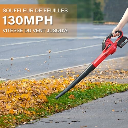 Personne utilisant un souffleur de feuilles rouge.