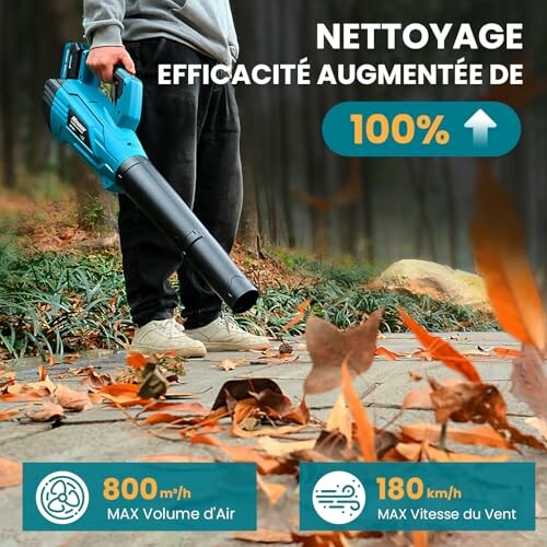 Homme utilisant un souffleur de feuilles dans le jardin.