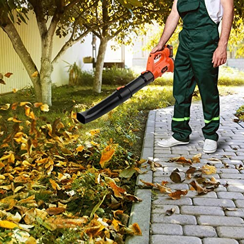 Souffleur de Feuilles sans Fil Bravolu