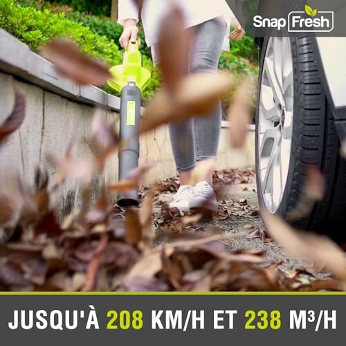 Personne utilisant un souffleur de feuilles près d'une voiture.