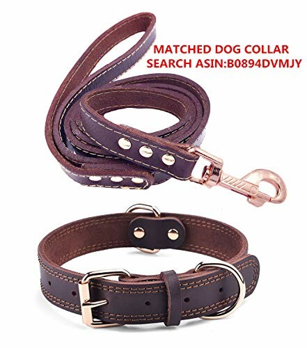 Collier et laisse en cuir pour chien.