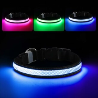 Collier de chien LED avec options de couleur changeantes.