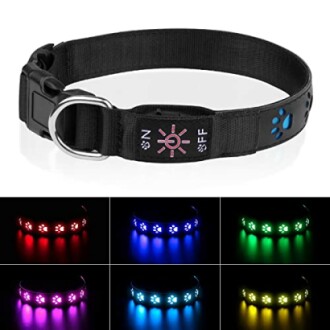 Collier pour chien avec lumières LED colorées