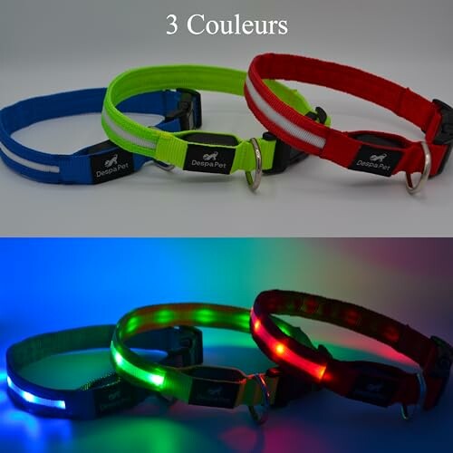 Colliers pour chiens avec lumières LED en trois couleurs