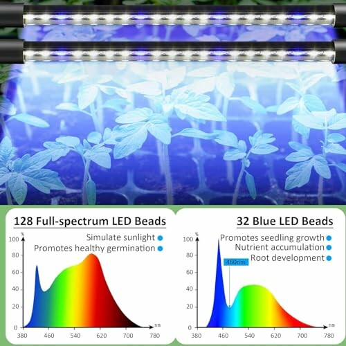 Lumière LED pour croissance des plantes avec spectre complet et bleu.