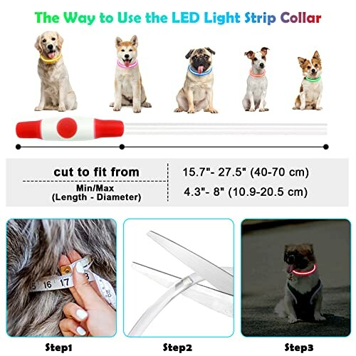 Instructions pour utiliser le collier lumineux LED avec chiens.