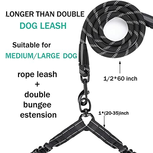 Laisse pour chien longue avec double extension élastique.