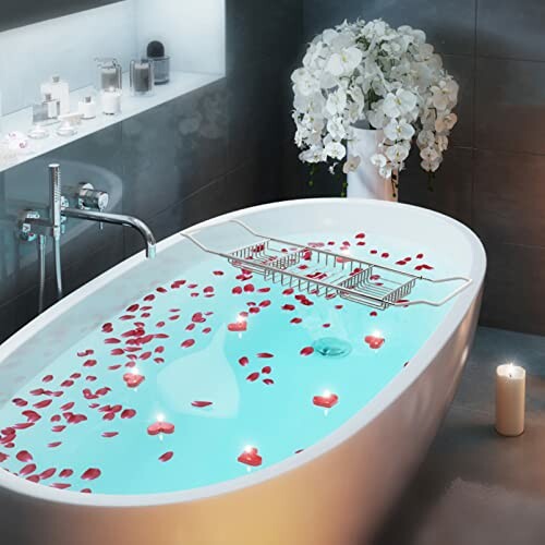 Plateau de Bain Zerodeko