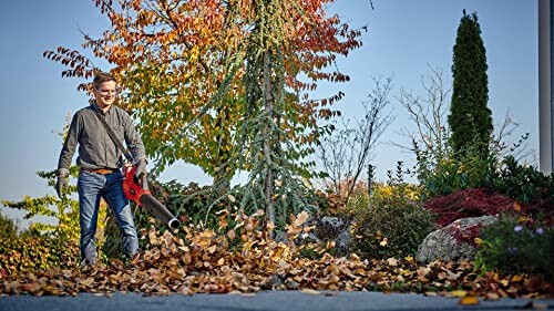 Einhell Souffleur de feuilles GP-LB 36/210 Li E-Solo