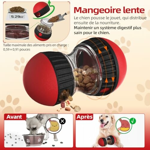 Mangeoire lente pour chien avec nourriture et images avant-après.