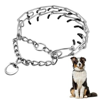 Collier de Force en Chrome pour Chien