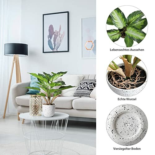 Salon moderne avec plantes en pot et décor minimaliste.