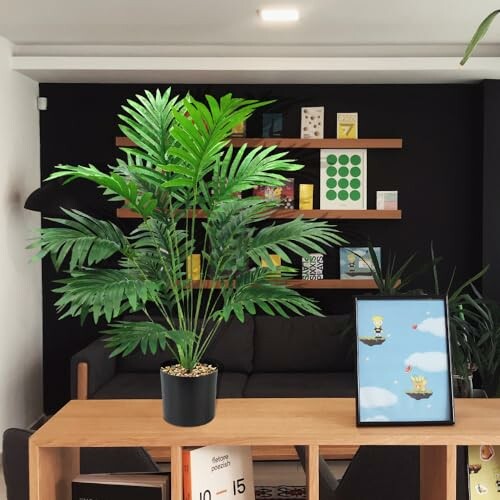 Salon moderne avec plante verte et étagères.