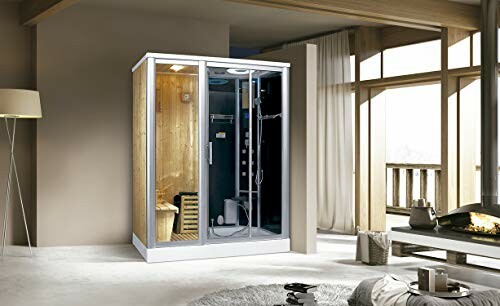 Combinaison moderne de sauna et douche dans un salon élégant.