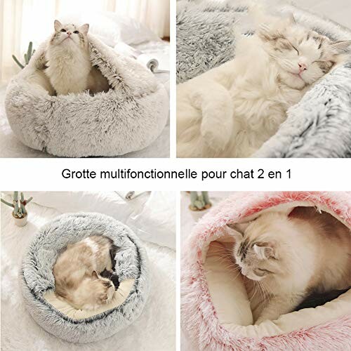 Chat confortablement installé dans une grotte douillette