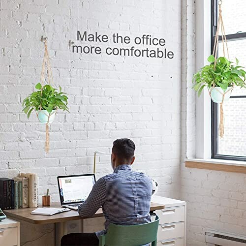 Homme travaillant à un bureau avec des plantes suspendues.