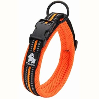 Collier pour chien orange avec fermeture en plastique.