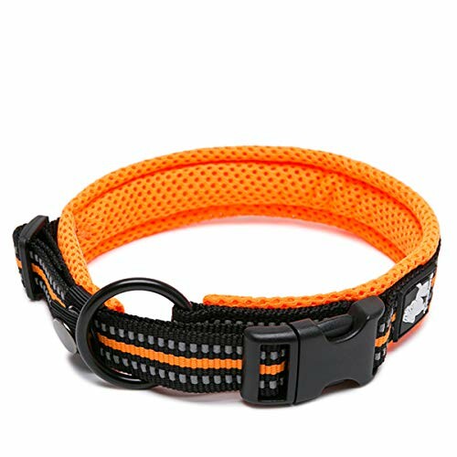 Collier pour chien orange et noir avec boucle.