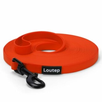 Laisse pour chien orange avec clip noir