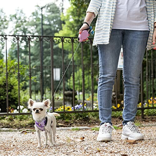 Personne promenant un petit chien dans un parc.