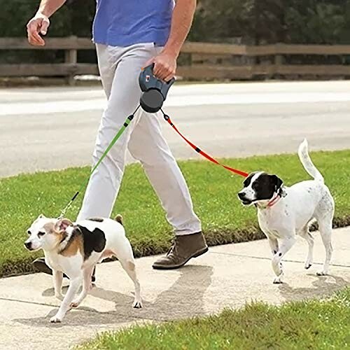 Personne promenant deux chiens avec des laisses rétractables.