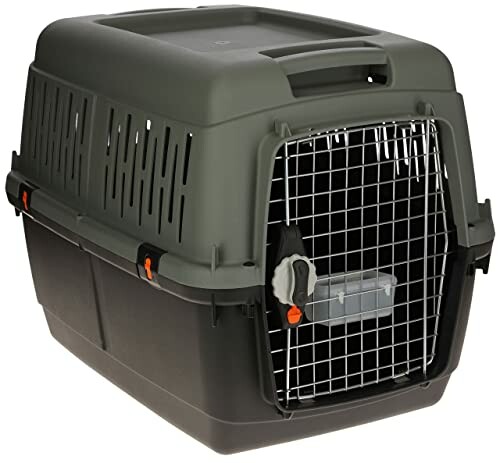 Caisse de transport pour animaux de compagnie en plastique avec grille métallique.