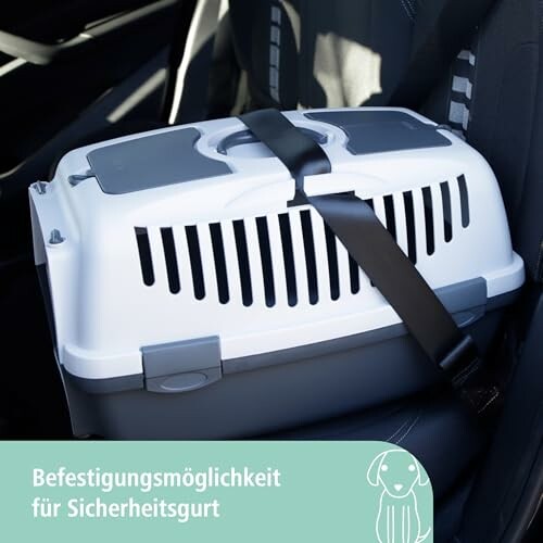 Transporteur pour animaux attaché avec une ceinture de sécurité.