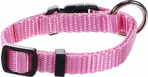 Collier rose pour chien avec boucle réglable