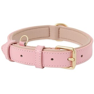 Collier pour chien rose avec boucle dorée.