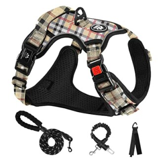 Harnais pour chien avec laisse et accessoires