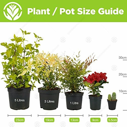 Guide des tailles de pots de plantes avec exemples de tailles.