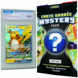 Carte Pokémon Raichu GX et pack mystère.