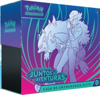 Boîte de l'entraîneur Pokémon avec dessins.