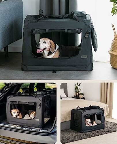 Chien dans un transporteur portable et pliable pour animaux.