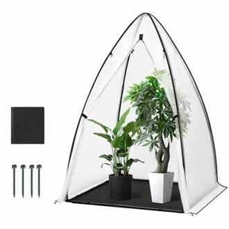 Serre portable avec deux plantes à l'intérieur