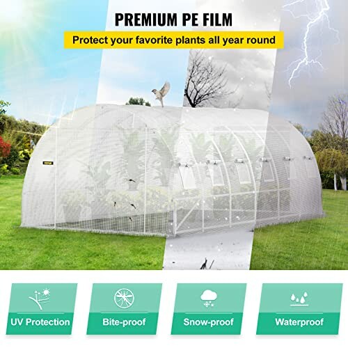 Serre avec film PE premium pour protection des plantes
