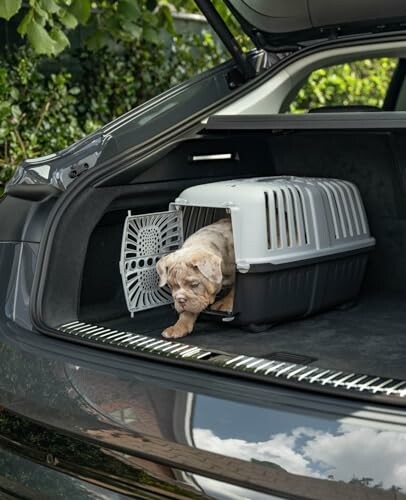 Un chiot sortant d'une cage dans le coffre d'une voiture.